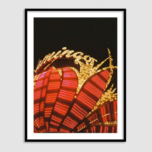 FLAMINGO - Framed 35mm Fine Art Print